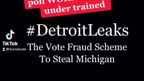 TikTok banned Detroit Leaks part 1
