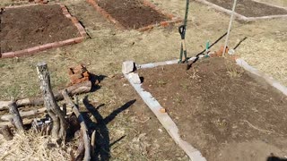 Styxhexenhammer Garden Update 3-30-2024: New Bed, Dictamnus Alba, Plans