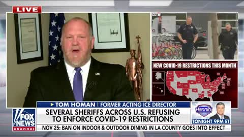 Homan Slams Cuomo for 'Vilifying' Sheriffs: 'If Anyone is a Dictator, it's Him'