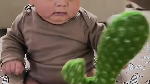 Baby with cactus toys 😂😂 #drole #funny #bebedrole #babyfunny #bebedr