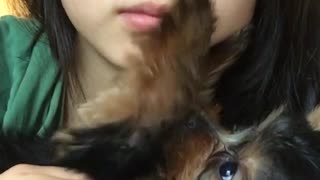 Asian girl selfie cam yorkie touching face