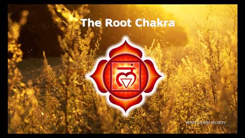 Money Chakra Secrets Upgrade Package ✔️ 100% Free Course ✔️ (Video 2/9: The Root Chakra)