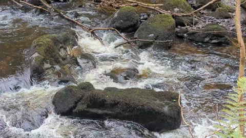 Cascades on Vartry River, Devil's glen walk, Wicklow, Ireland