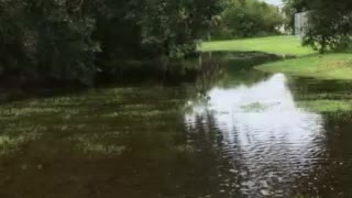 Driving utility vehicle full out in water