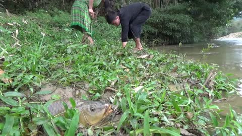 Primitive Life - Primitive Couple Finding Fish Meet Fish In Mud Pit - Fishing Unique For Survival