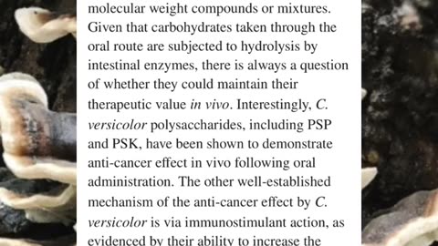 Turkey tail contains two compounds, polysaccharide-K (PSK) and polysaccharidepeptide