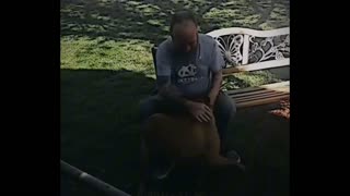 dog recognizes owner after a while without seeing him