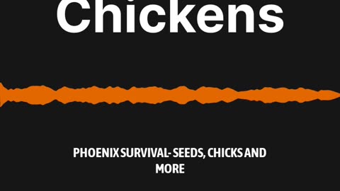 The Realities of Raising Chickens w/ Phoenix Survival