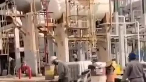 Los empleados de una refinería actúan ante el perrito callejero que se les acercaba cada día