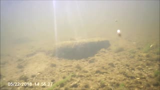 Underwater test of GoPro Clone