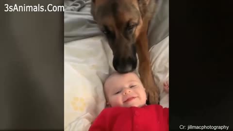 Dog and baby are best friends xd