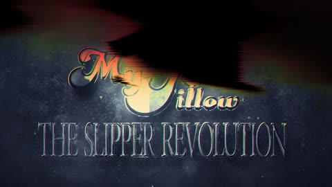 Mike Lindell, My Pillow Slipper revolution