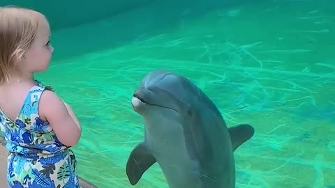 little girl and dolphin