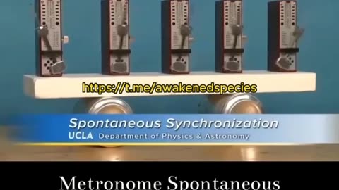 This is a great example on how different rhythms and vibrations eventually synchronize