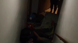 Cowboy hat slides down stairs on cardboard