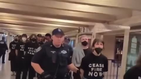 Protesters demanding for Ceasefire arrested for causing the shutdown of Grand Central Station