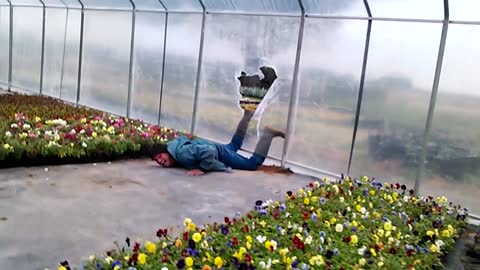 Man Dives Into Greenhouse Through Plastic Sheeting