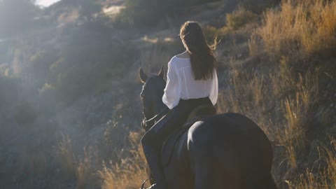 Back view of graceful horse walking in sunrays with slim young woman sitting on back