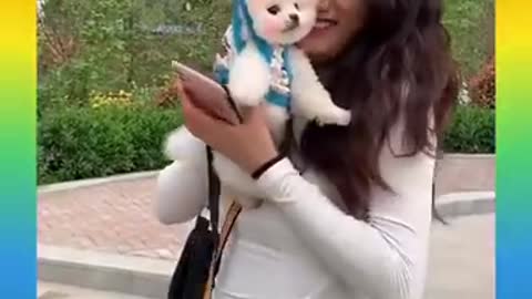 06_Cute and Funny Dog Videos Compilation_#short