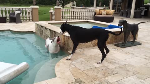 Katie and Max enjoy playing in the pool