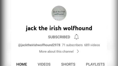 Follow Jack the Irish wolfhound on YouTube