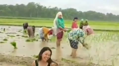 cute baby girl dancing in field of rice