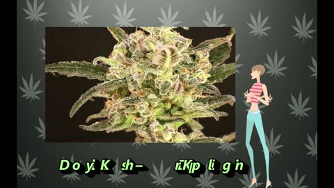 kush strains