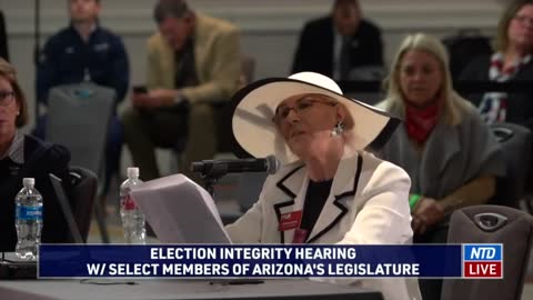 Maricopa County GOP Chair Linda Brickman Discusses Irregularities She Observed