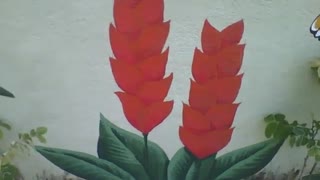 Bonita flor vermelha desenhada na parede da floricultura, lindo trabalho de arte [Nature & Animals]