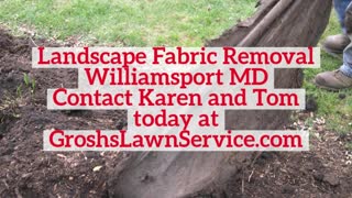 Landscape Fabric Removal Williamsport MD Contractor GroshsLawnService.com
