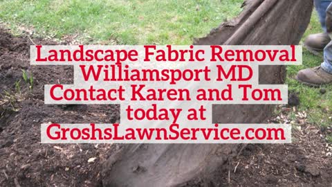Landscape Fabric Removal Williamsport MD Contractor GroshsLawnService.com