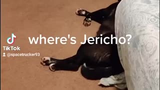Where’s Jericho?