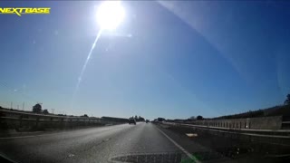 Piglet Near-miss on Highway