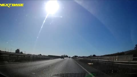 Piglet Near-miss on Highway