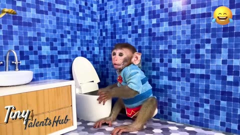 Monkey Madness: Fun and Educational Facts About Monkeys | TinyTalentsHub