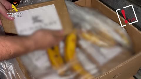 Intentó introducir 6,5 toneladas de cocaína en contenedores de bananas por el puerto de Algeciras