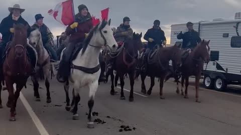 500 Canadian cowboys and cowgirls on horse back going right around police blockade at USA border