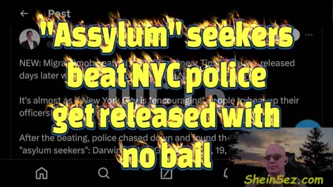 "Assylum" seekers beat NYC police get released with no bail-SheinSez 428