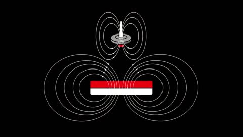 Levitating magnetic spinning top 'Levitron'