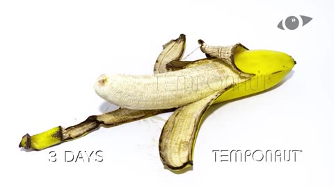Banana Timelapse (2)
