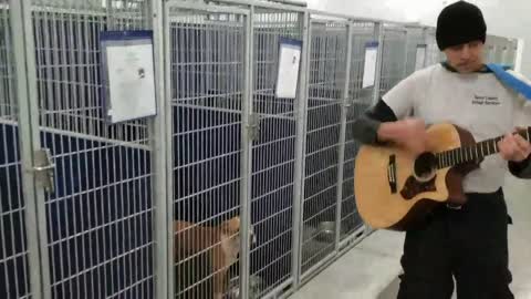 Animal Shelter Adds Live Music To Their Enrichment Program