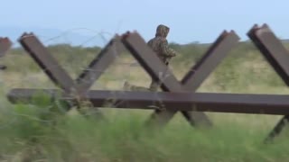 New Video Shows Camouflaged Illegal Migrants Crossing Our Border