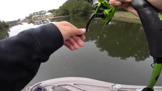 CATCHING BASS EVERY CAST (UNREAL Day of Fall Fishing)