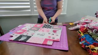 How to Make a No Sew Pet Blanket