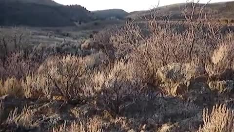 Sunrise At Mountain Meaodws with John Fahey