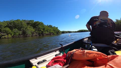 4 Sheepshead, 2 Jack Crevalle, and a Snapper walk into a Bayou