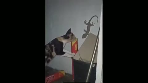 Gecko scares off cat