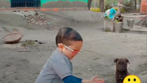 boy and dog funny dance video