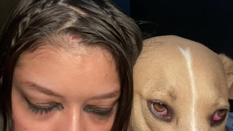 Owner Lines Eyes To Match Dog