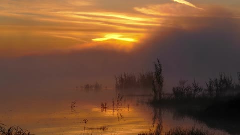 Evening Swamp Marsh - 1 Hour Scenic Video